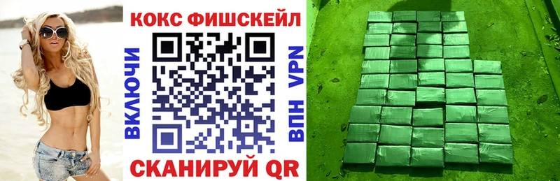 COCAIN Fish Scale  Купить где  Губаха 
