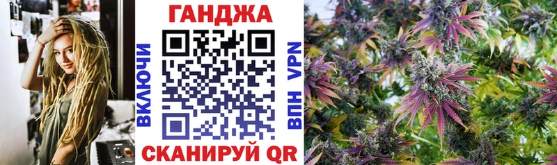 Купить  Губаха  Канабис Amnesia 